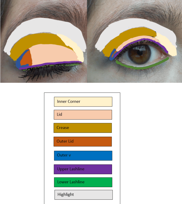 Parts of the Eye - Diagram