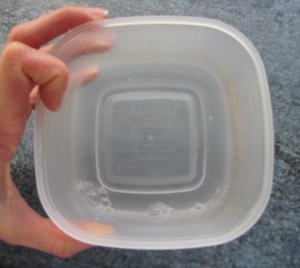 Diluted brush cleanser