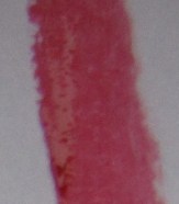 Pic 5b MF Gloss swatch