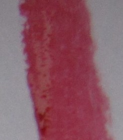 Pic 5b MF Gloss swatch